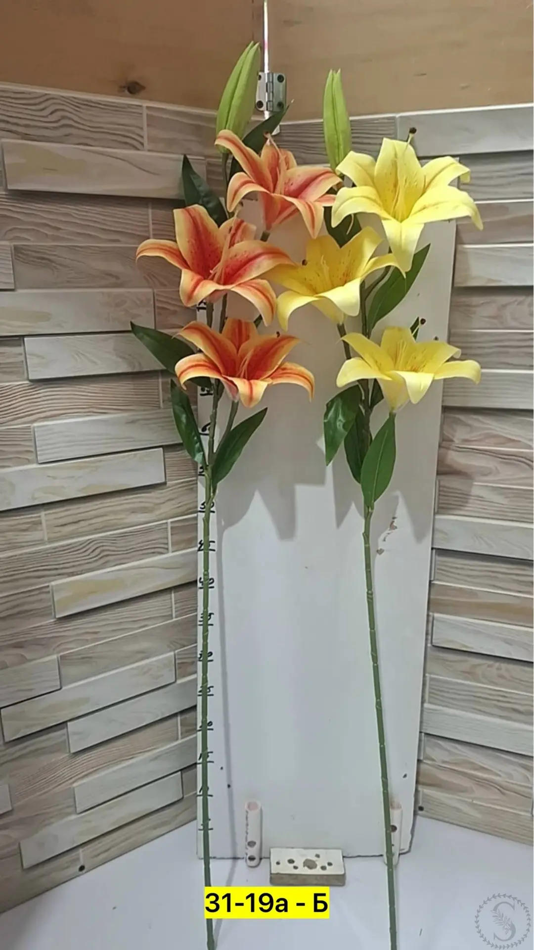 https://vk.com/photo-184814919_493596240