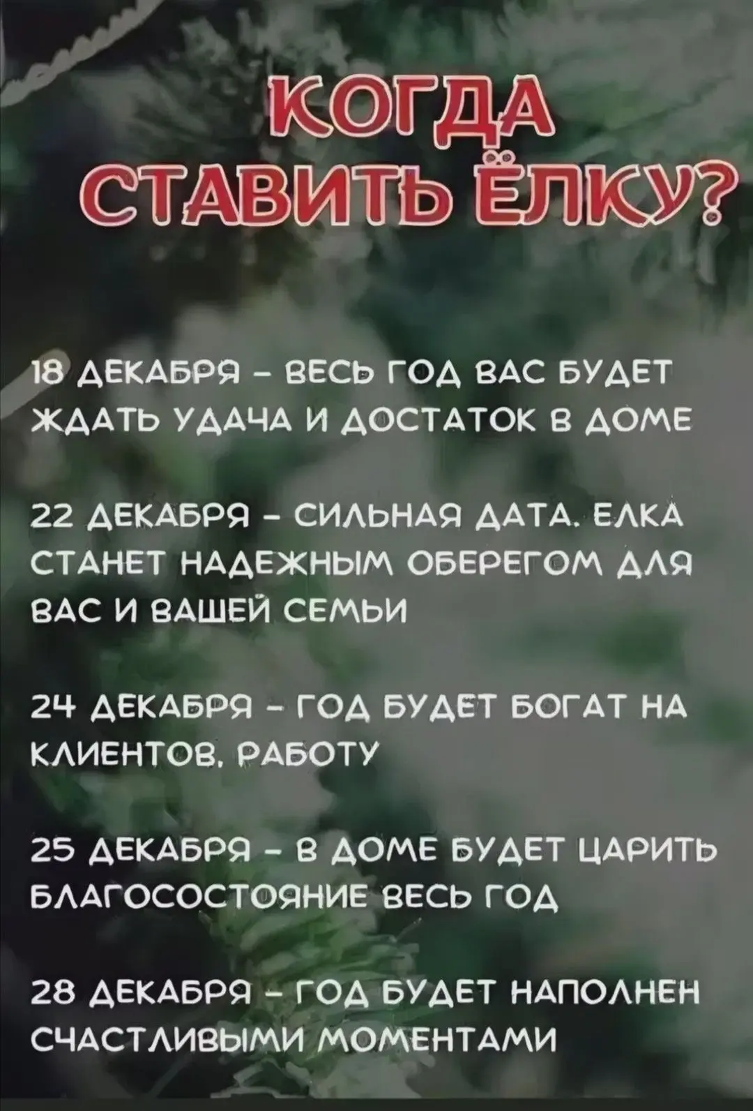 А вы уже поставили елку?