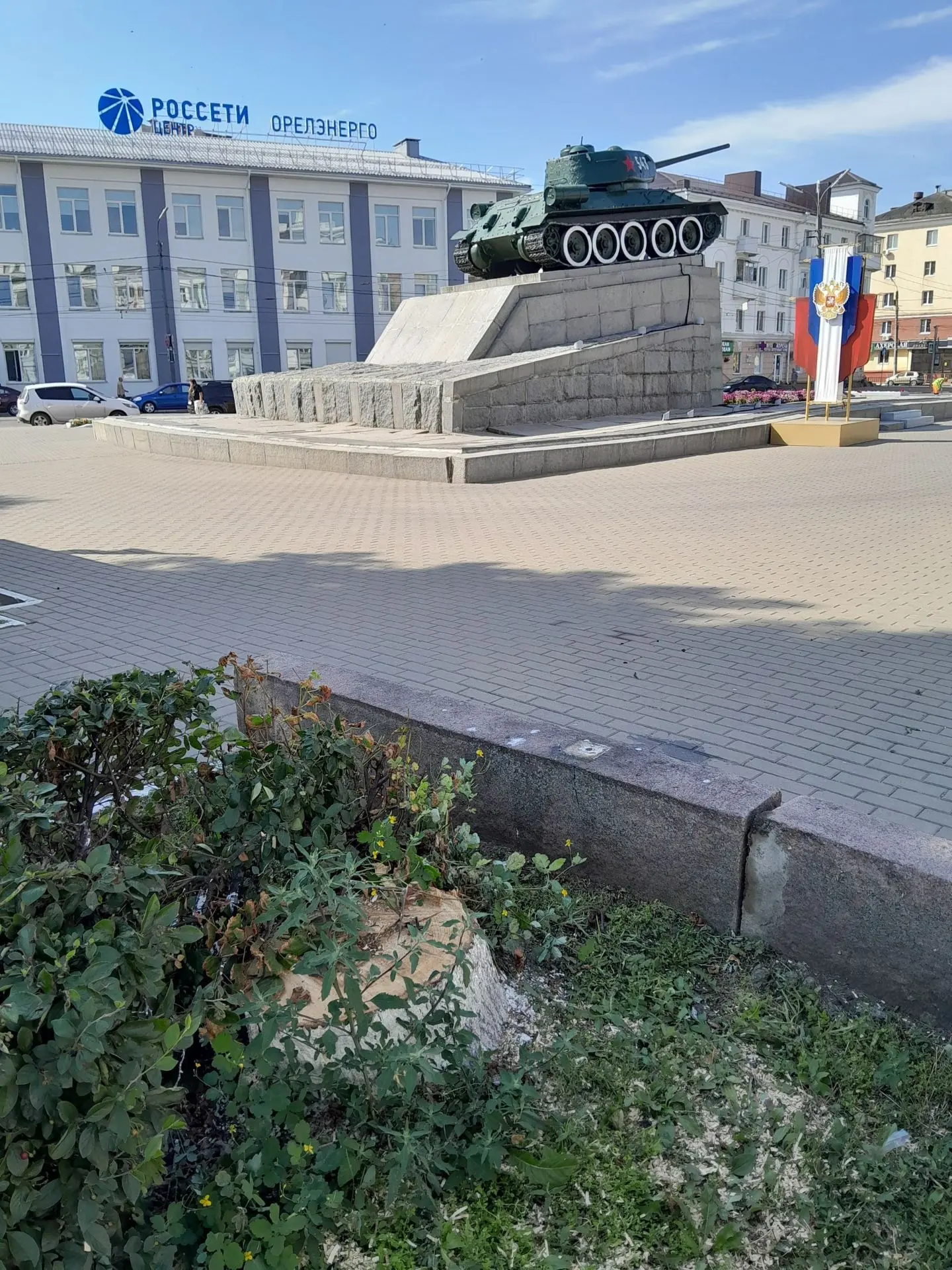 😡 Новые пни "украсили" сквер Танкистов после сноса ранее кронированных, а в последствии ставших "ве