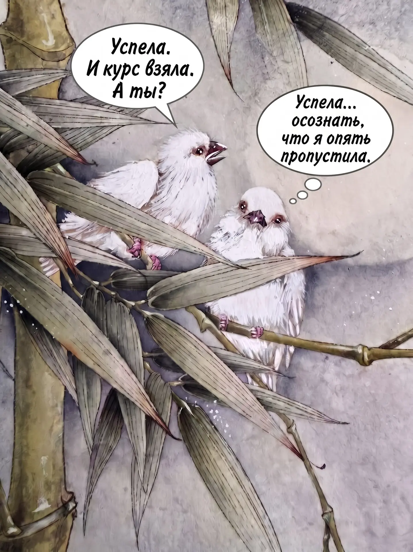 Не будь второй птичкой 😄