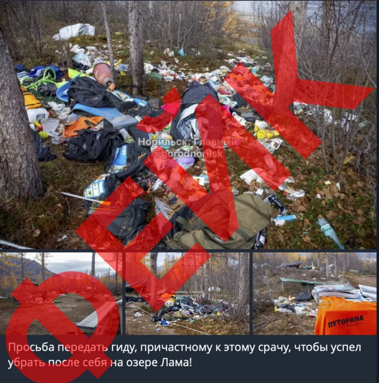 Появился иной взгляд на ситуацию с мусором на Ламе. Медведи, вероятно, виноваты в том, ...