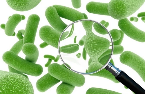 Ключевые факты о постбиотиках 🧪  Состав:  Это продукты жизнедеятельности бактерий, полученные в резу
