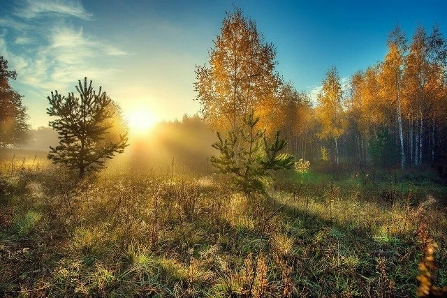 ☀ДОБРОЕ УТРО☀