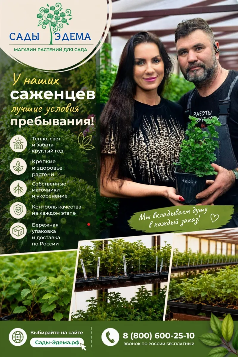 За красивым цветением всегда стоит большая работа. И мы в «Сады-Эдема» знаем об этом не понаслышке.
