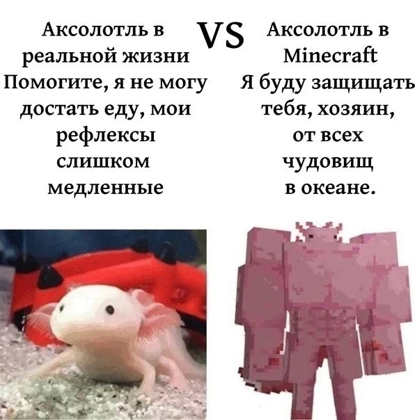Кто милее?