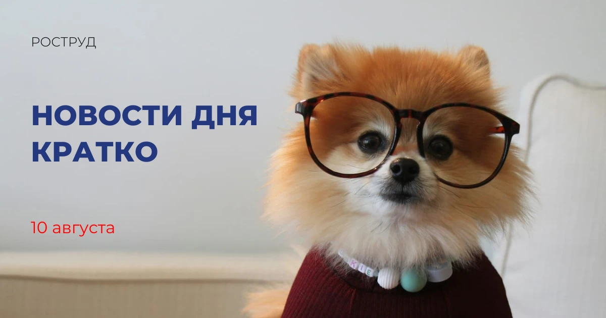 Федпроект «Формирование комфортной городской среды» позволил благоустроить порядка 120 ...