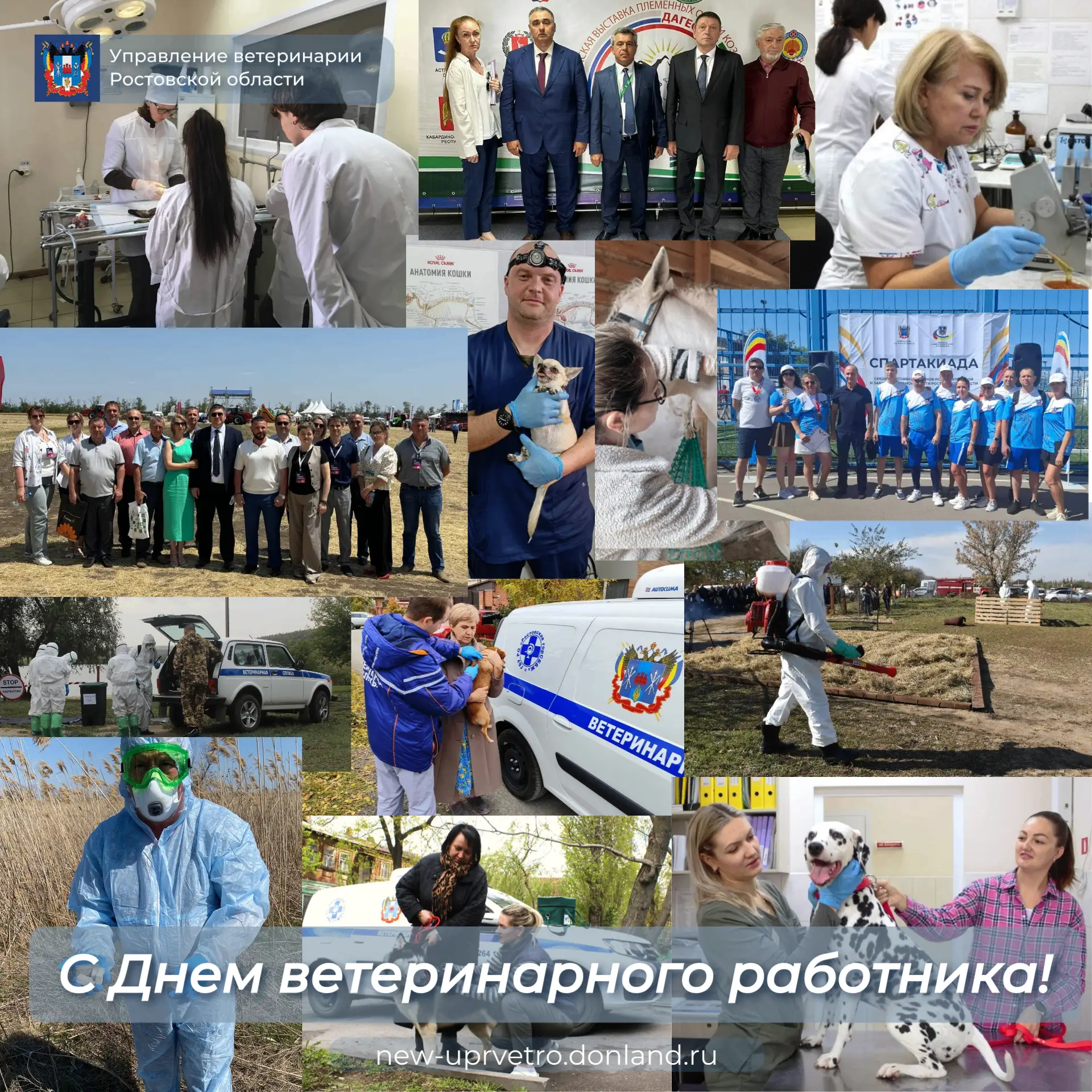 Уважаемые коллеги!