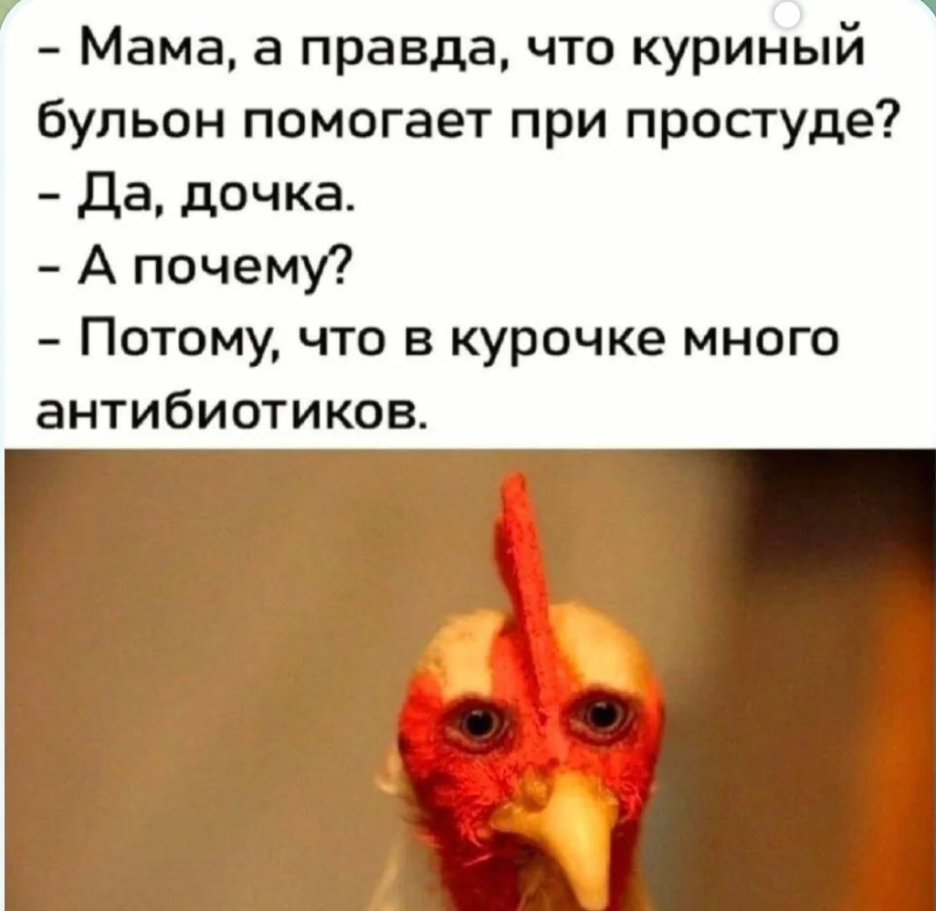 Как понять, что вам нужны антибиотики? Краткое руководство к действию