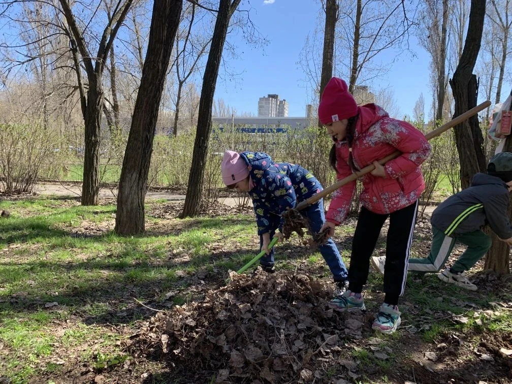 🤝Трудовой десант из учащихся 1В, 2Г, 3А, 4Д и 6Г сегодня потрудился на славу 👍 ребята, их родители и