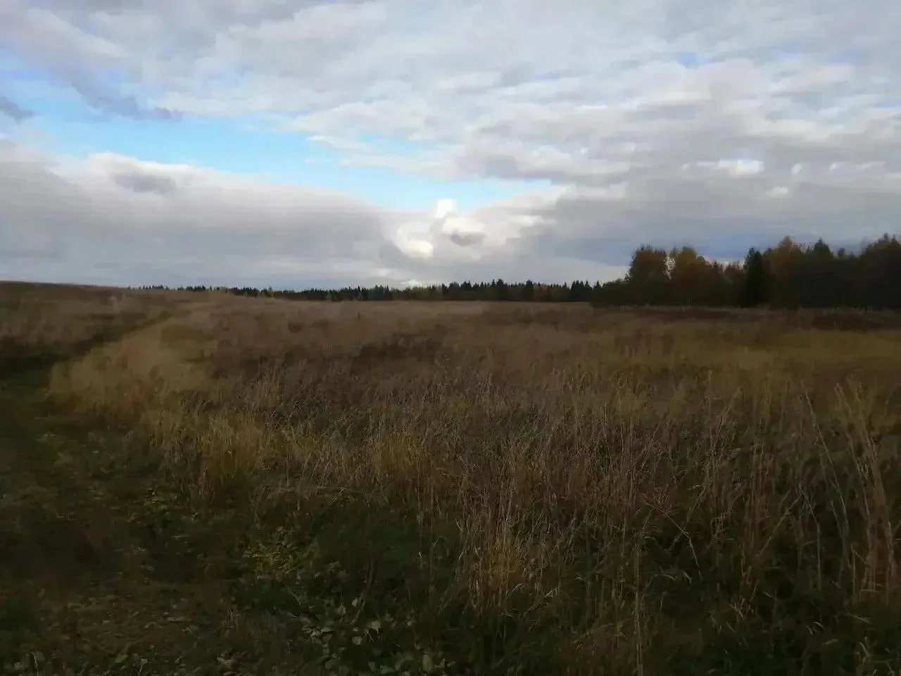 В судебном порядке прокуратура Архангельской области и Ненецкого автономного округа доб...