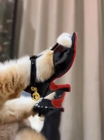 А ЧТО ДАЛЬШЕ?