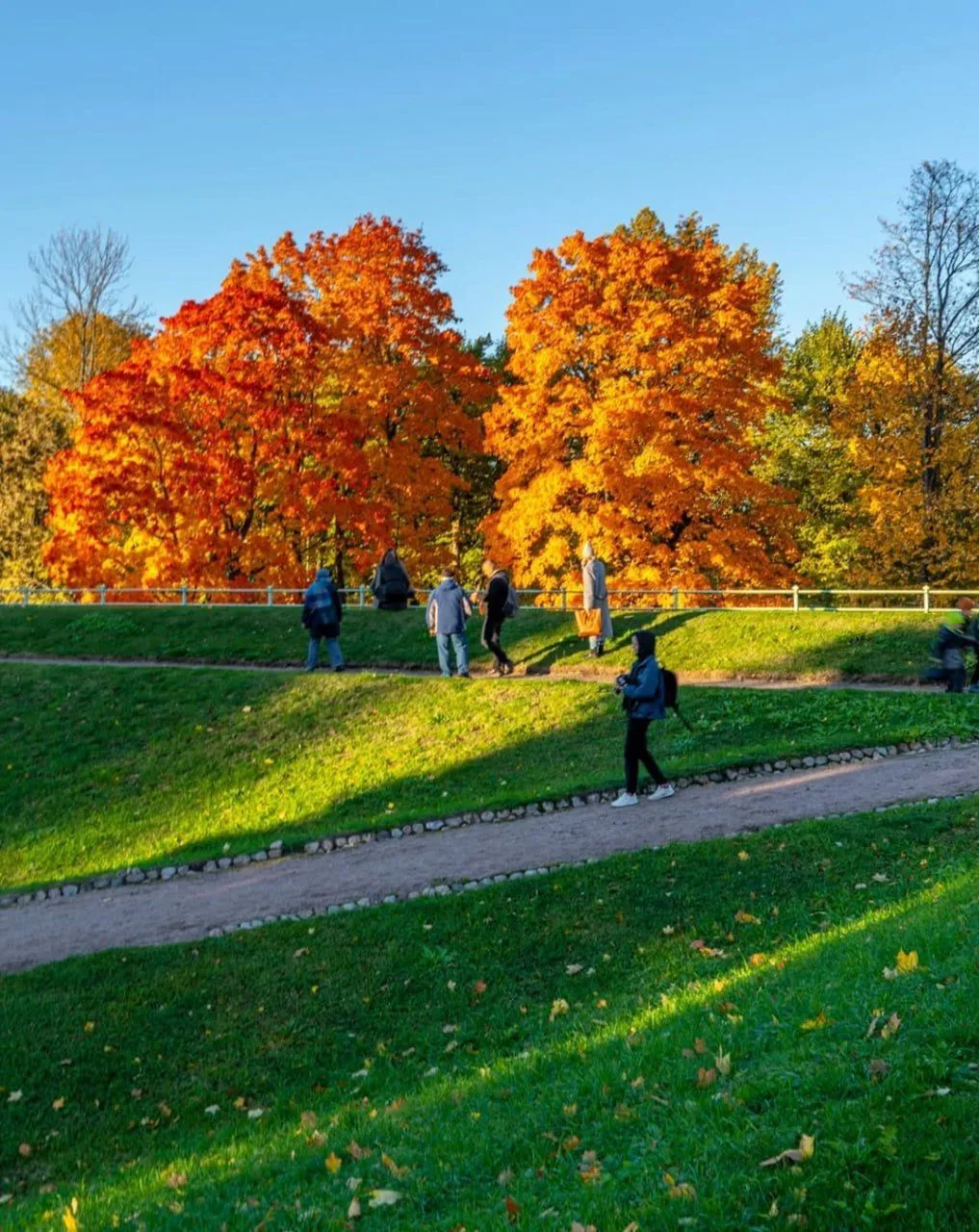 🌳 Александровский парк