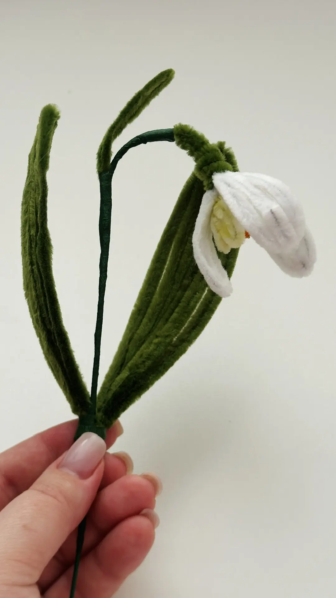Нежный, весенний и такой трогательный — подснежник 🌿🤍 Он всегда ассоциируется с первыми тёплыми дням
