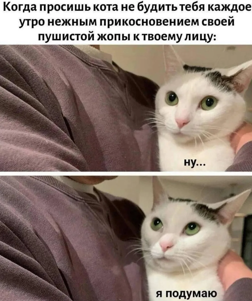 Подумает он, ага

Комментарии: pikabu.ru/link/lr8b9B575v