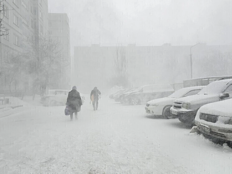 🌨 Первый снег ожидается в Новосибирской области уже в ночь на вторник. Вместе с ним в ...