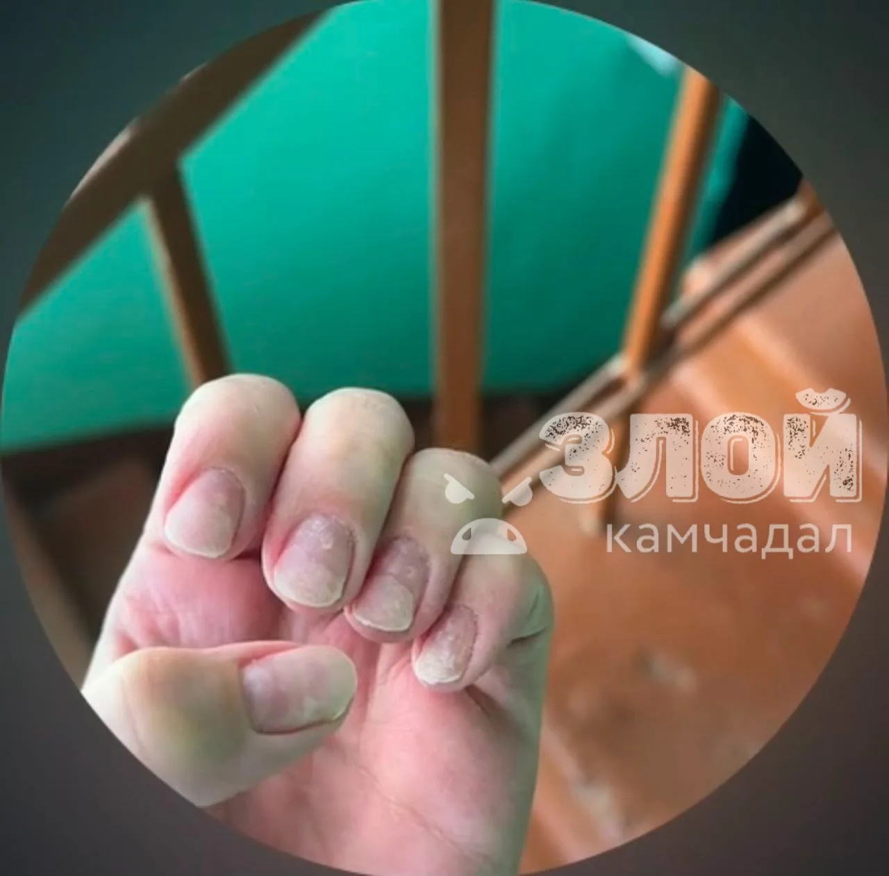 Злой отзыв!💅