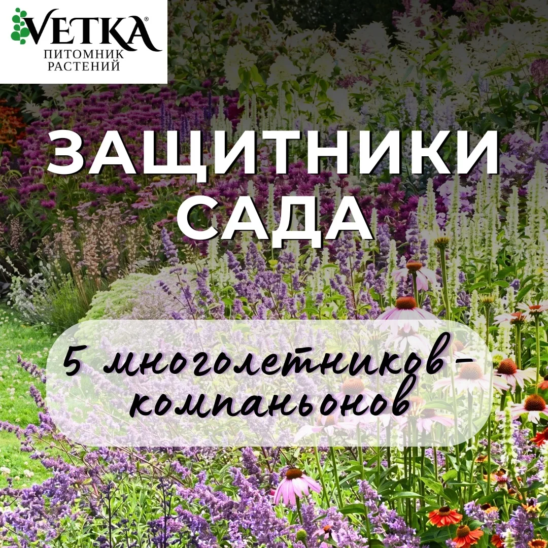 Представьте: вы пьете чай на веранде, а сад сам разбирается с тлей, грибками и комарами. Без беготни