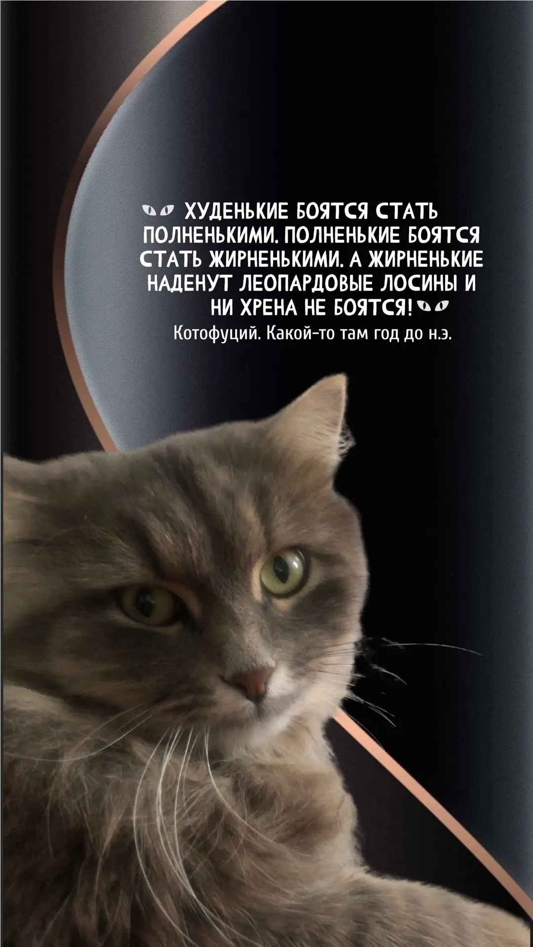 #котофуций #юмор

🎞️ КАНАЛ С ФОНАМИ
💳 ДОНАТЫ НА РАЗВИТИЕ КАНАЛА