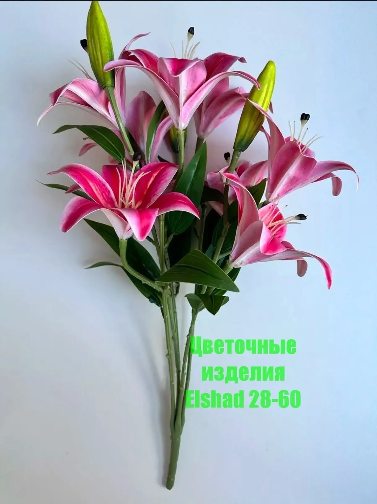 https://vk.com/photo-184814919_493410600