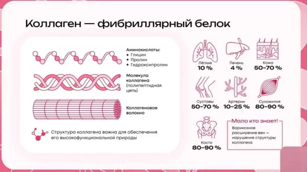 Коллаген - фибриллярный белок, он необходим для 👇