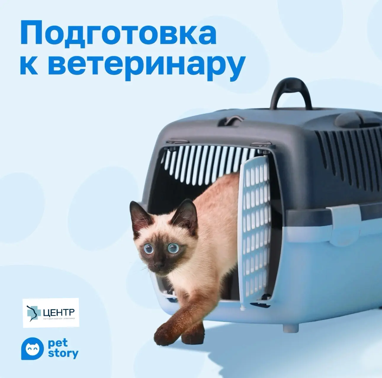 Визит к ветеринарному врачу - часто стрессовая ситуация для питомца и волнительная для ...