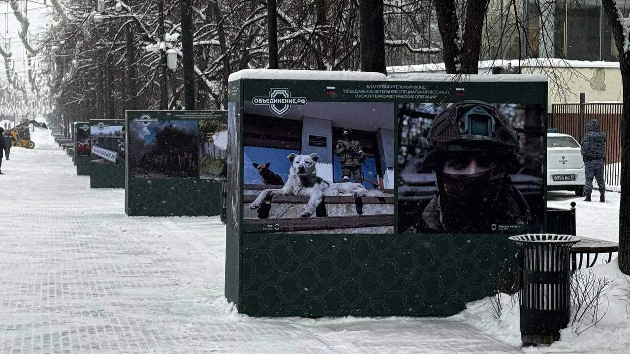 📸 Фотовыставка "Жизнь за лентой. Продолжение" открылась в центре Челябинска