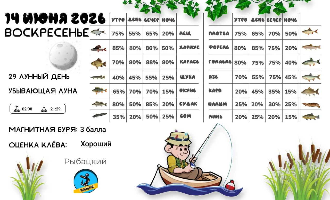 Прогноз клёва на 14 июня по фазе и состоянию луны 🎣