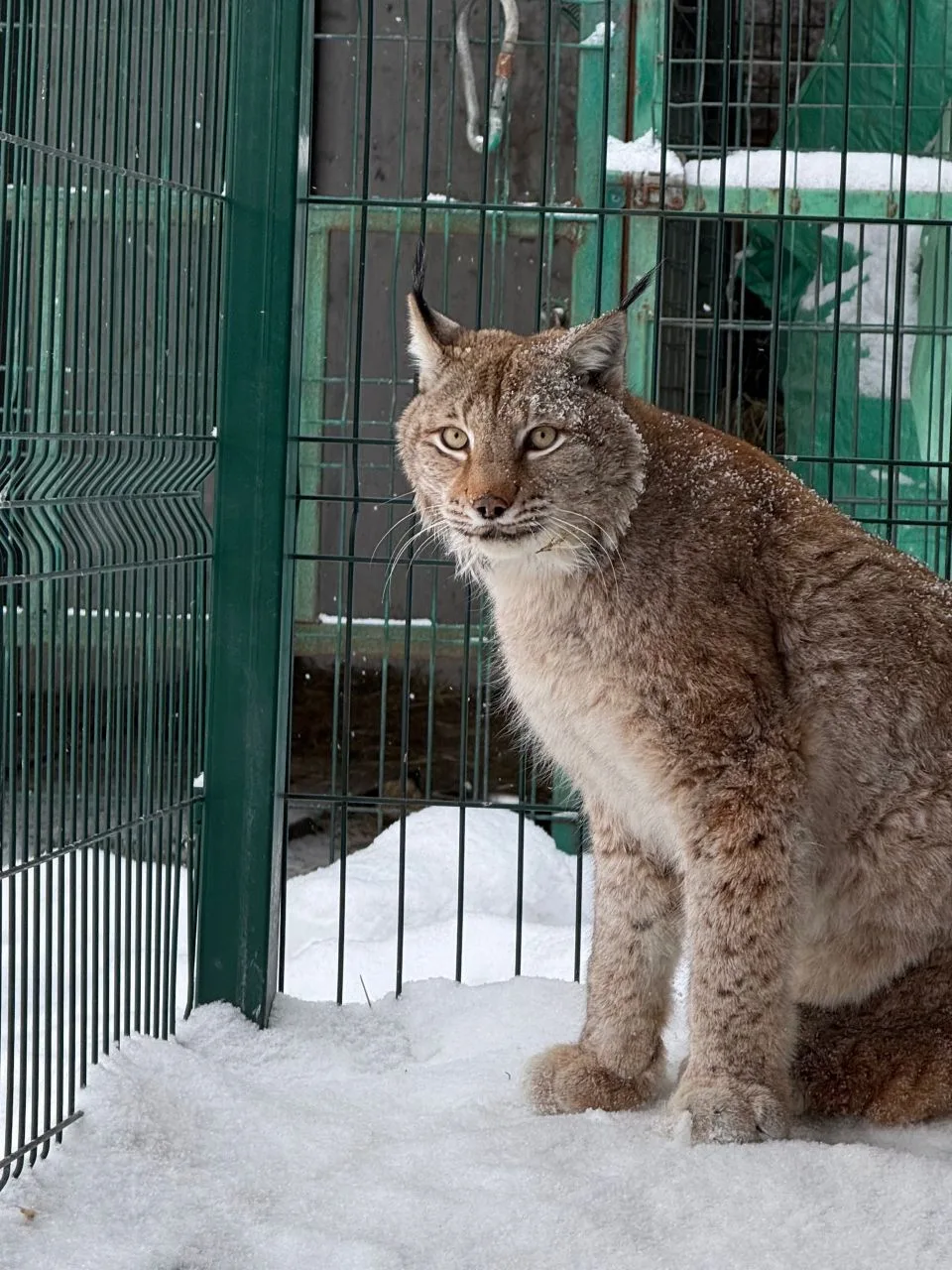 26 февраля ученики 2 д класса со своим классным руководителем Вавилиной О.В. отправились в увлекател