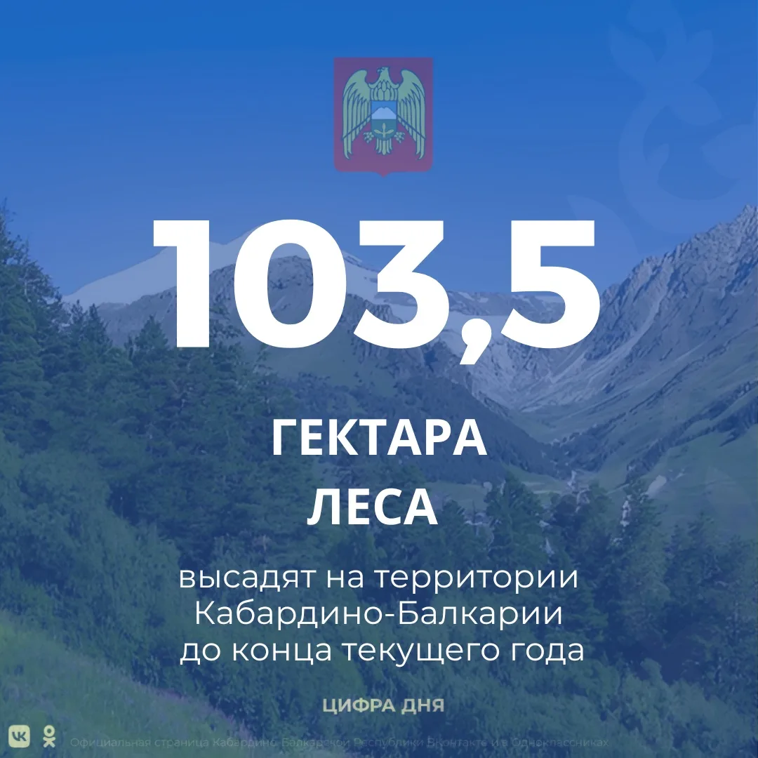 В Кабардино-Балкарии в рамках мероприятий по лесовосстановлению в текущем году запланирована посадка