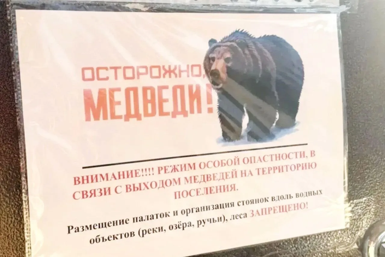 В АРТЫБАШЕ МЕДВЕДЬ-ЛЮДОЕД ЕДВА НЕ РАСТЕРЗАЛ ЕЩЁ ОДНУ ЖЕНЩИНУ В ДЕНЬ ГИБЕЛИ ТУРИСТКИ