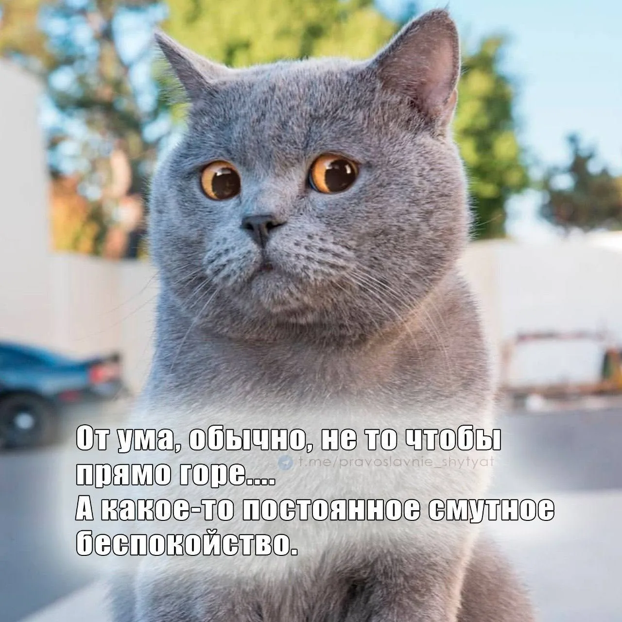 ☺Православные тоже шутят - Позитивный канал, с доброй и душевной атмосферой.