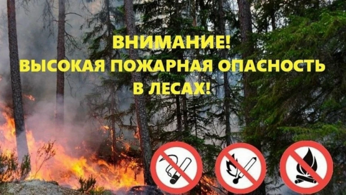 ‼Внимание‼Высокая пожарная опасность лесов 4-й класс ‼