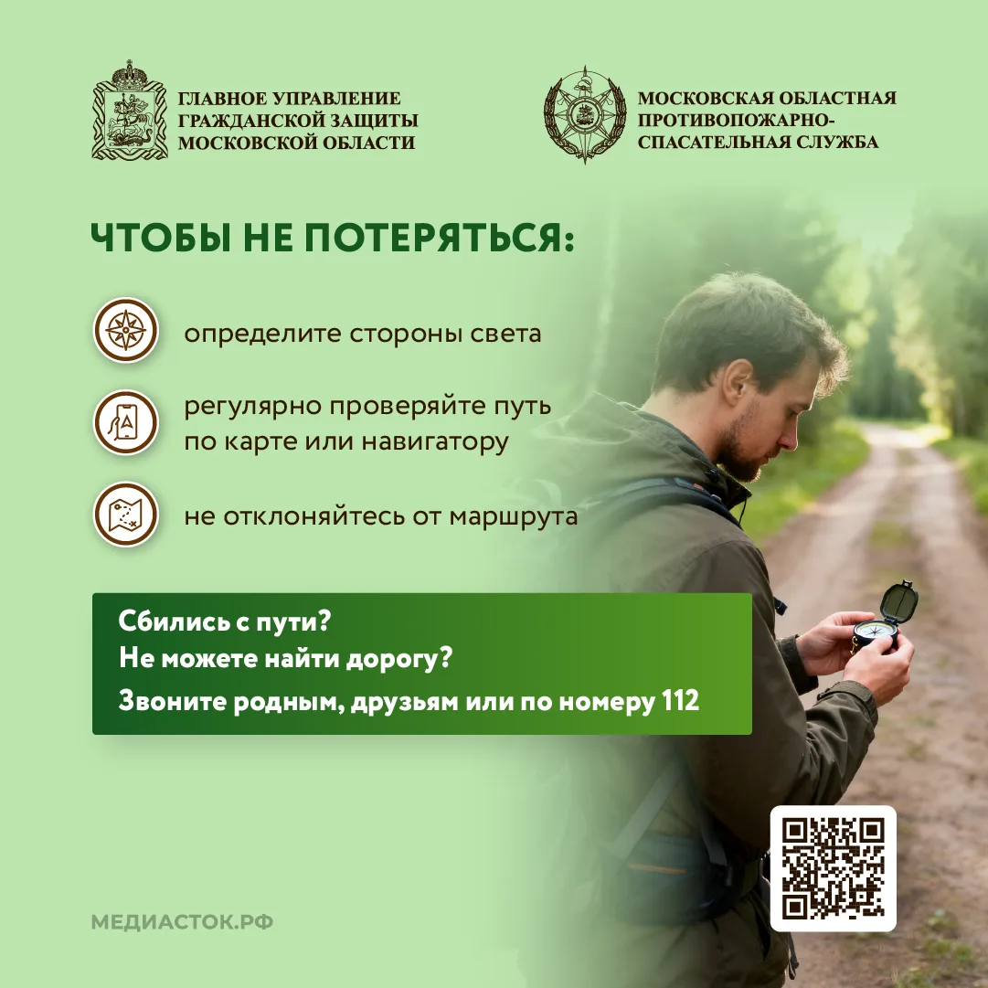 🌲Как подготовиться к походу в лес, что взять с собой, и как найти дорогу, если сбились с пути – чита