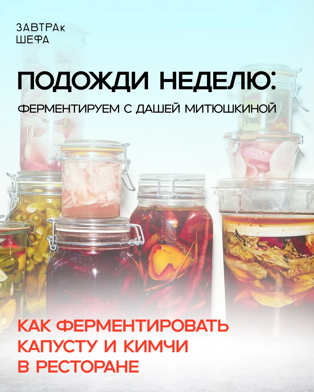 Добавляем немного микробиологии в вашу кухню.