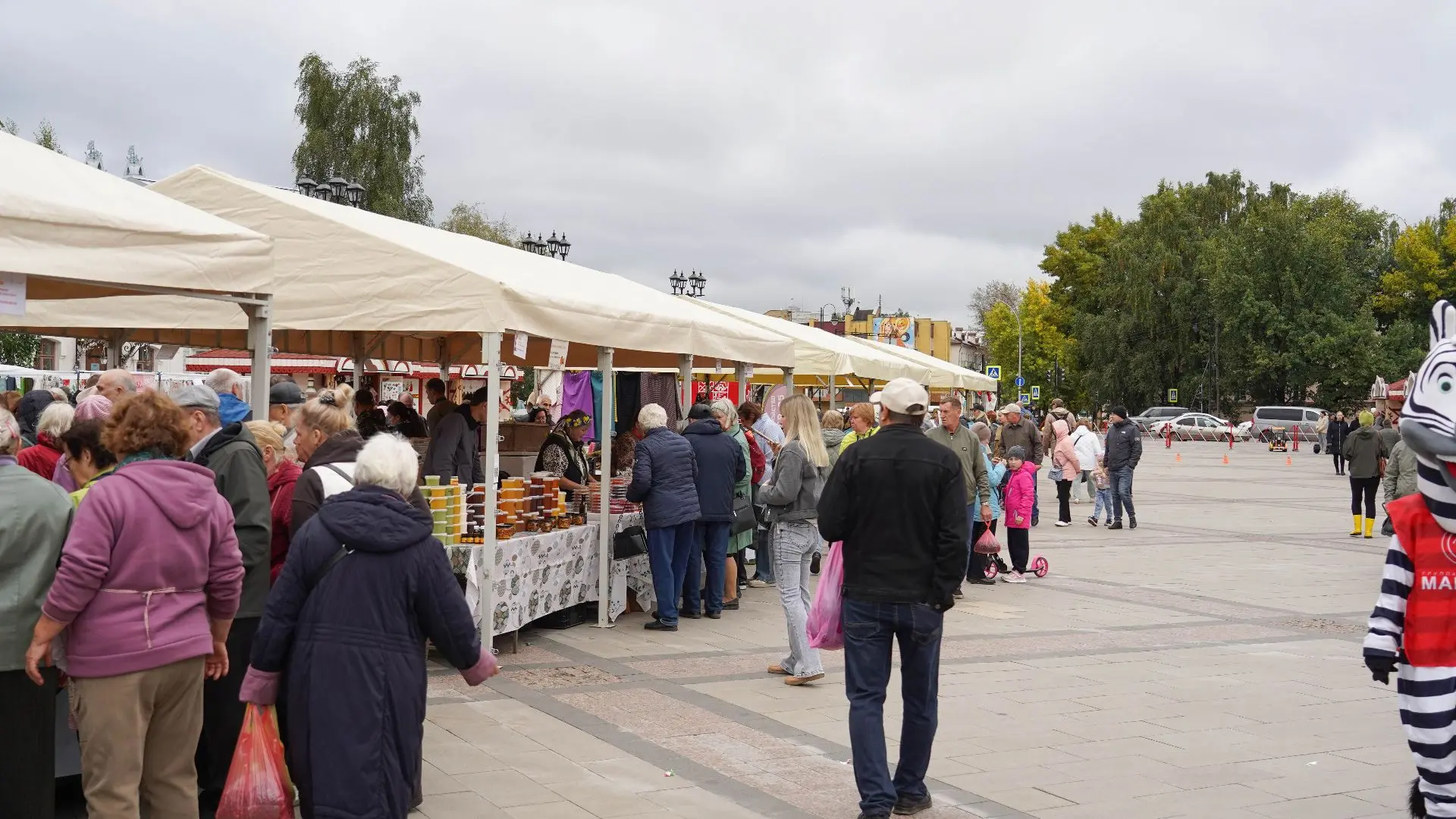 Более семи тонн картофеля продали вологодские фермеры на ярмарке «Дары осени»