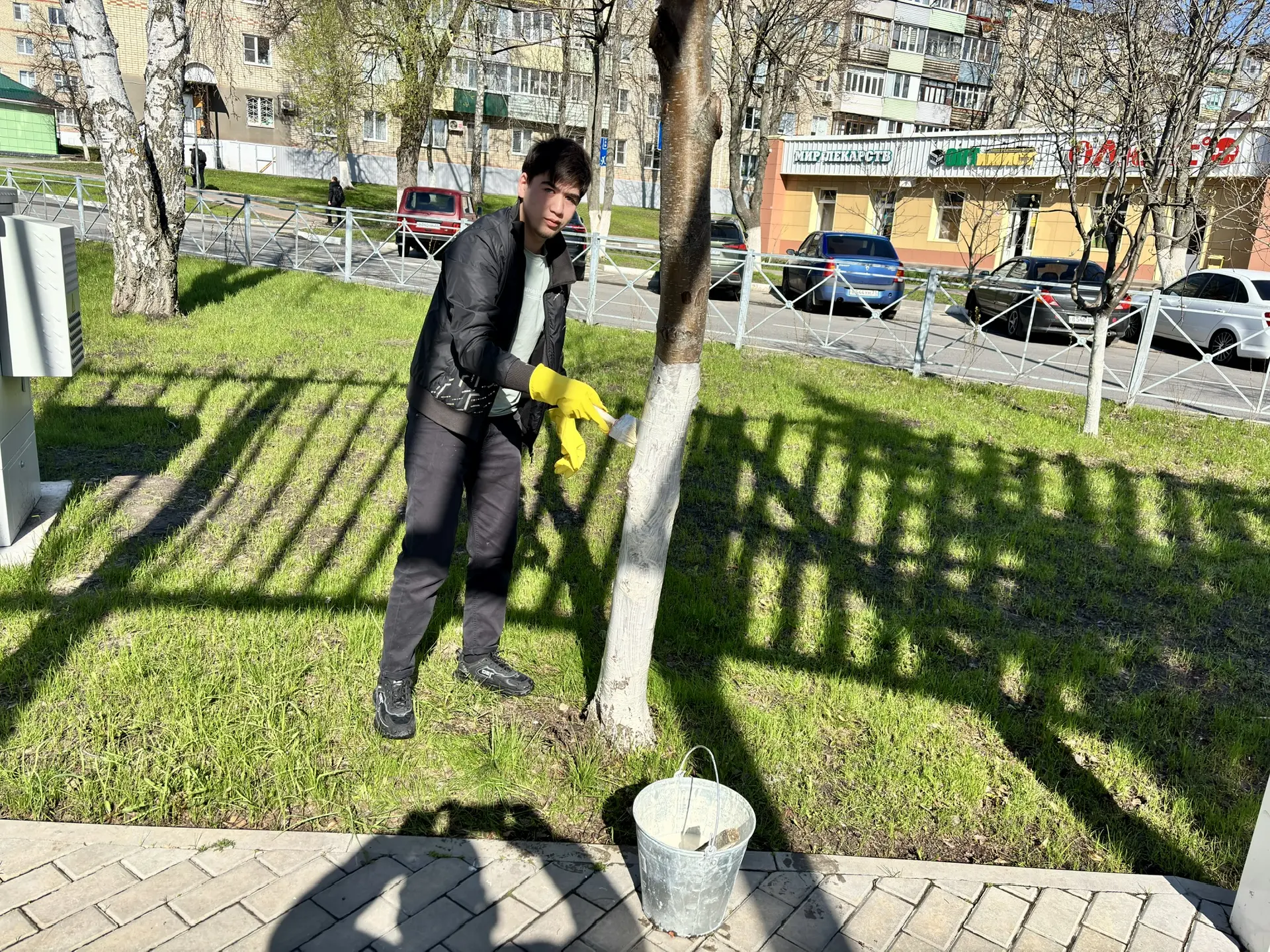 В рамках Всероссийской недели субботников «Мы за чистоту» студенты ГФ НИТУ «МИСИС» приняли участие в