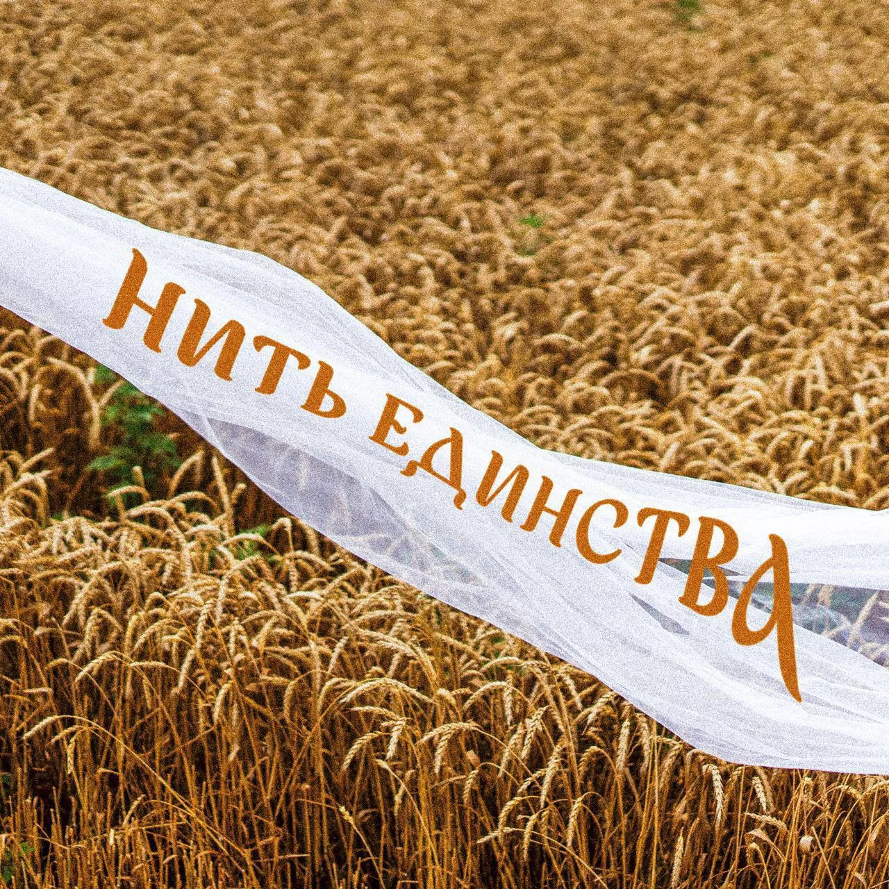 Что может объединять людей, поколения, воспоминания и целые города?