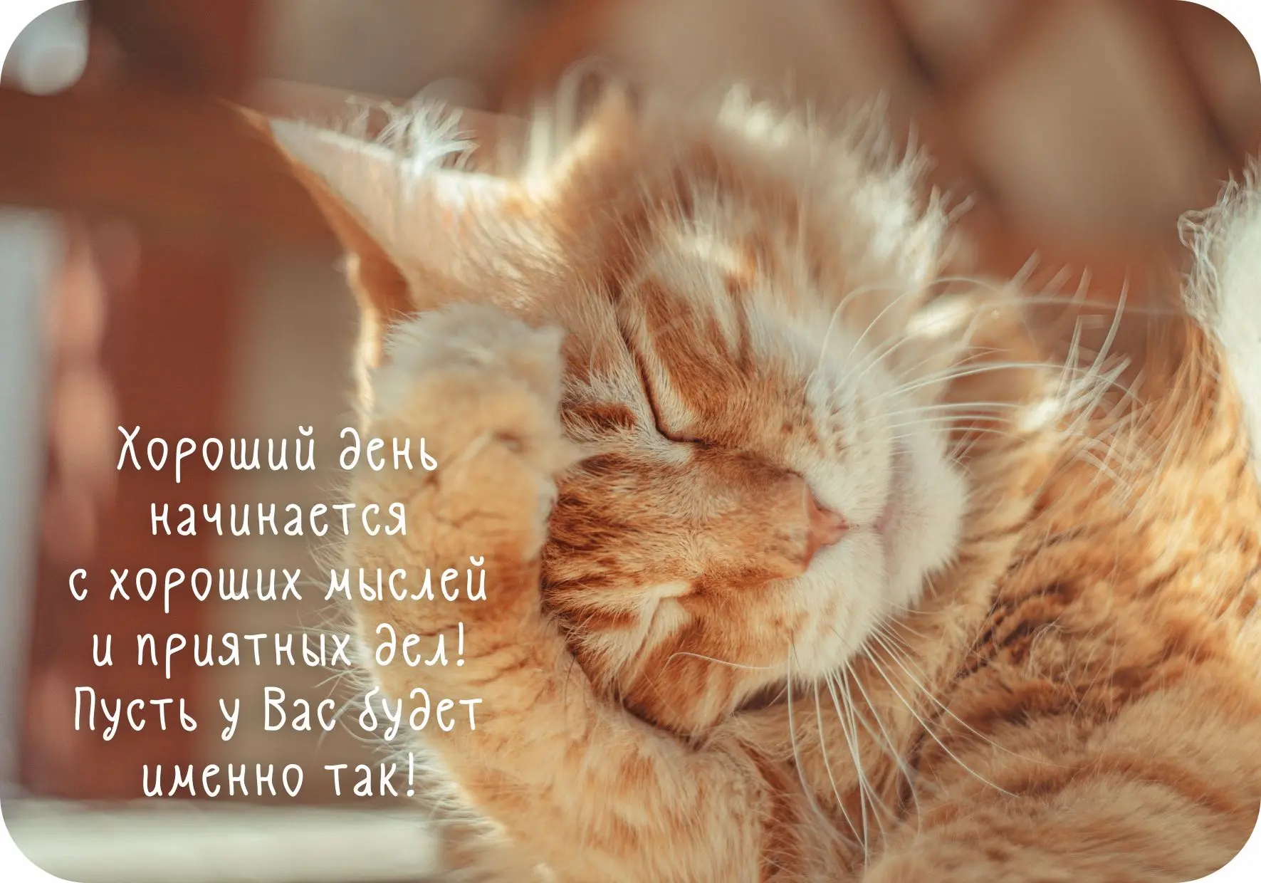 Доброе утро и хорошего дня! 💛
