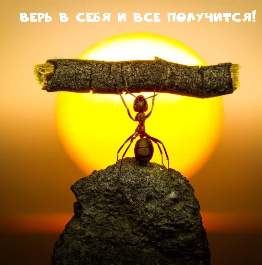 Мои дорогие 9-классники! 9 июня вы сдаёте ОГЭ по русскому языку в СШ №9 по адресу ул. у...