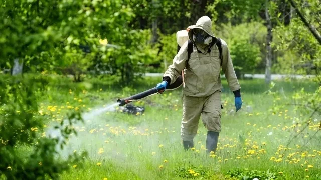 🕷 В Тольятти обработают от клещей общественные территории