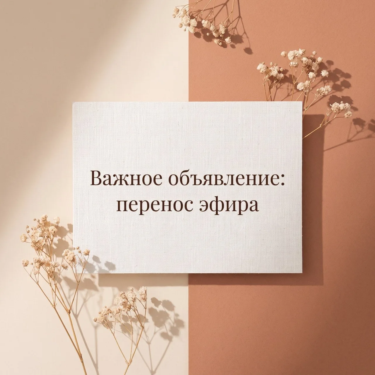 Друзья, наш сегодняшний эфир переносится на следующую неделю.