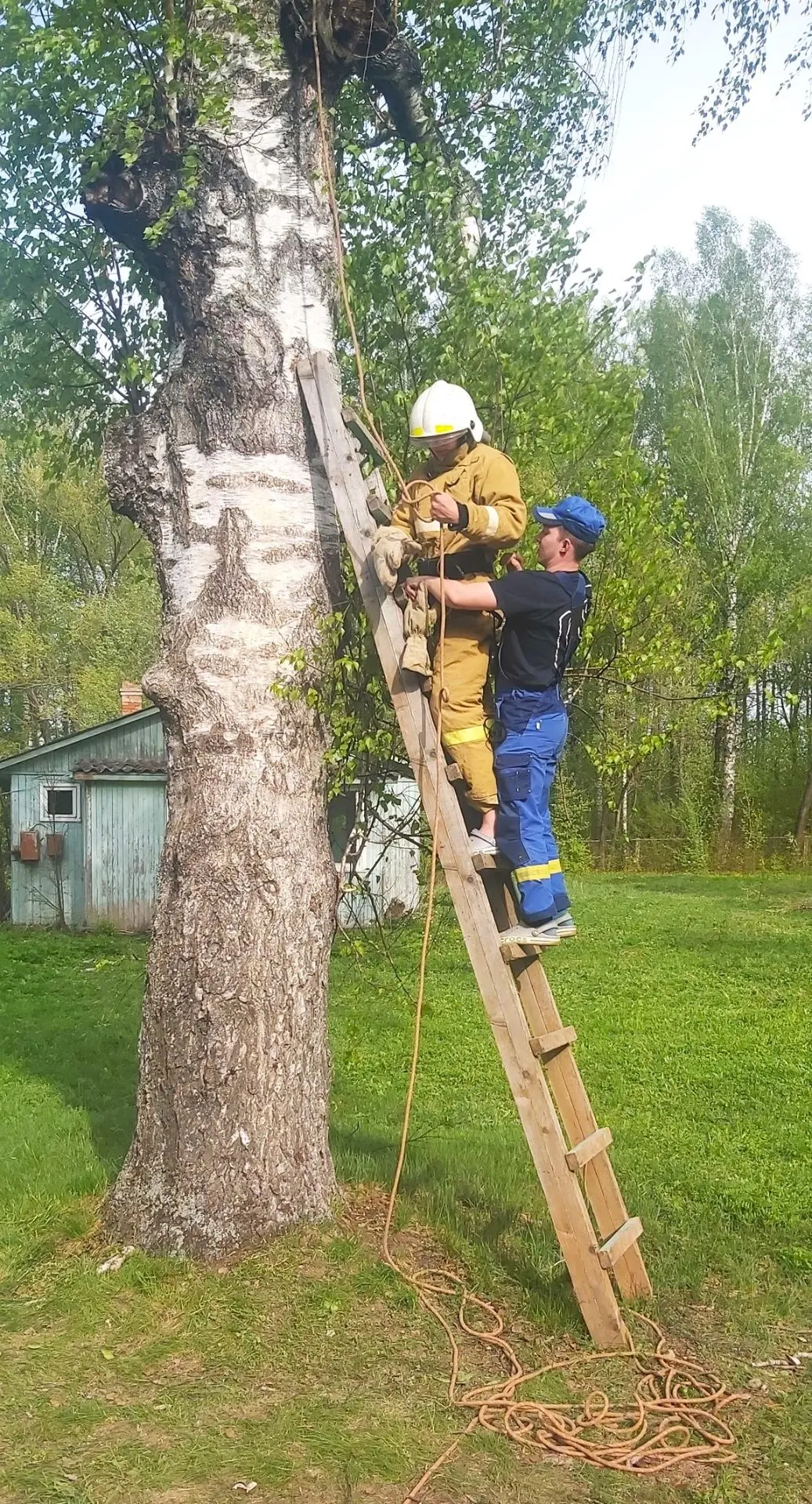 Испытание на прочность   Сегодня в актовом зале Библиотеки УдГУ им. В. А. Журавлёва состоялась торже