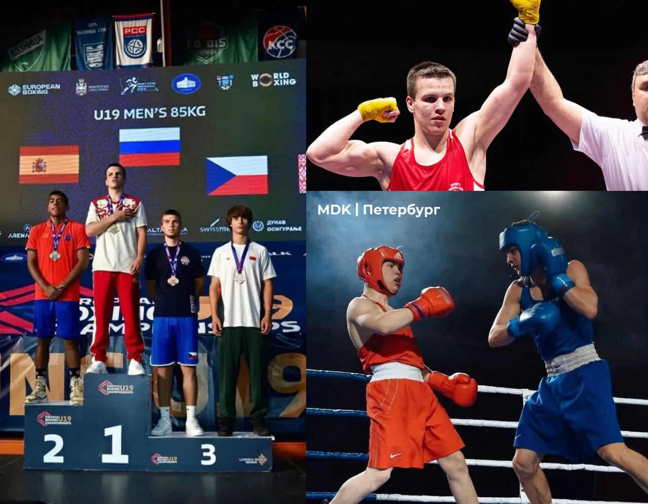🥊 Два золота и бронзу привезли петербургские боксёры с первенства Европы