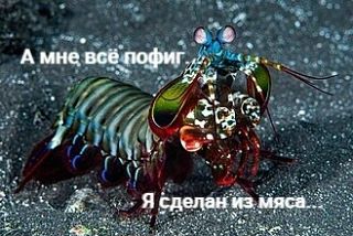 😅Внезапно приложившись тыльной частью организма об пол при падении со стремянки, я чер...