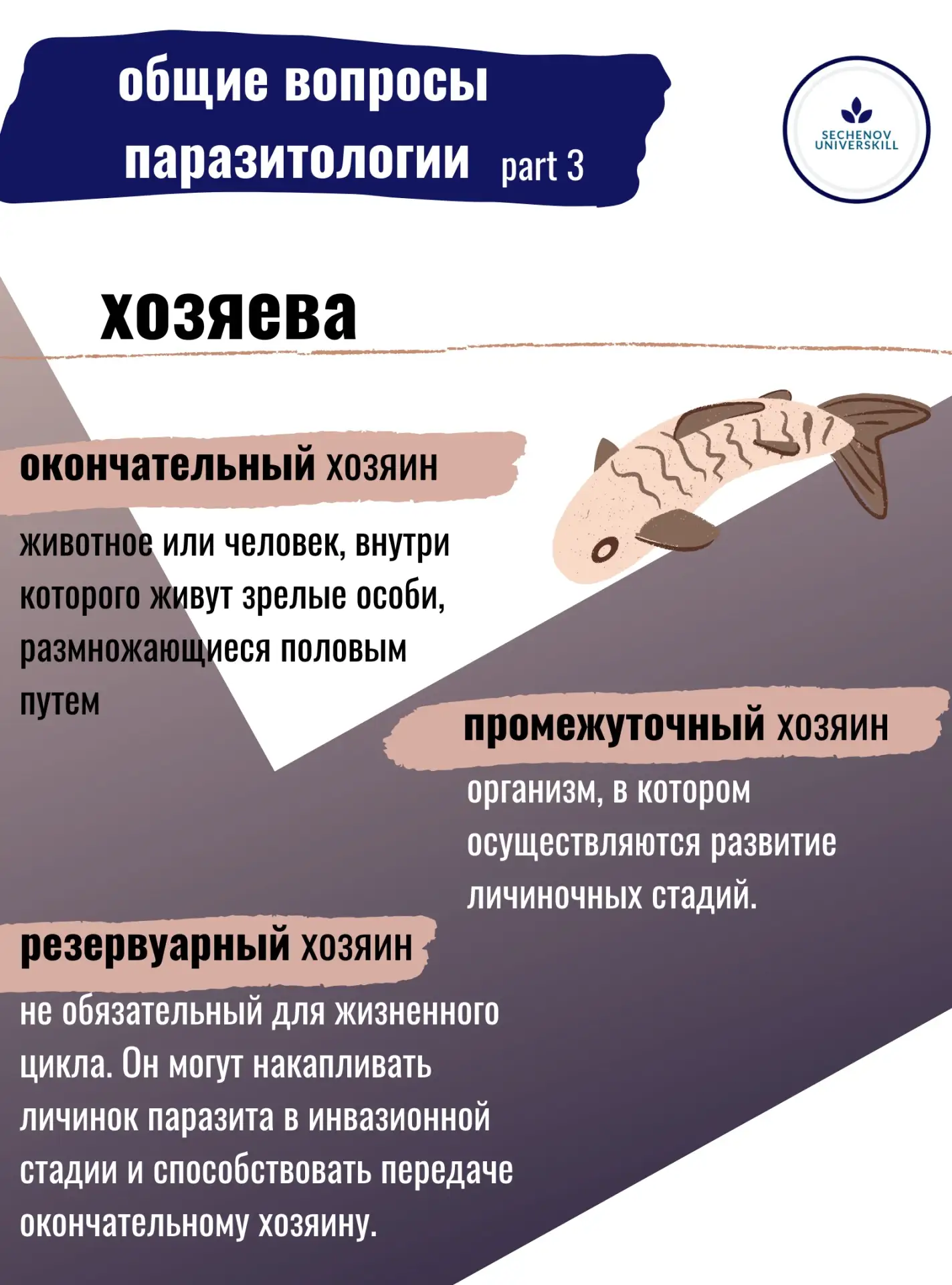 ОБЩИЕ ВОПРОСЫ ПАРАЗИТОЛОГИИ (part 3)