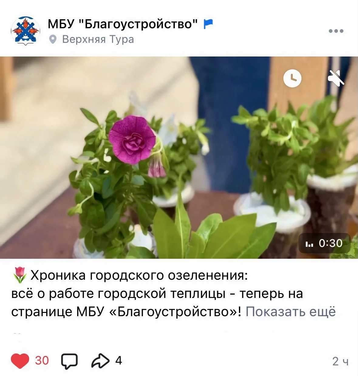 🤳Подписывайтесь на сообщество МБУ «Благоустройство» ВКонтакте.
