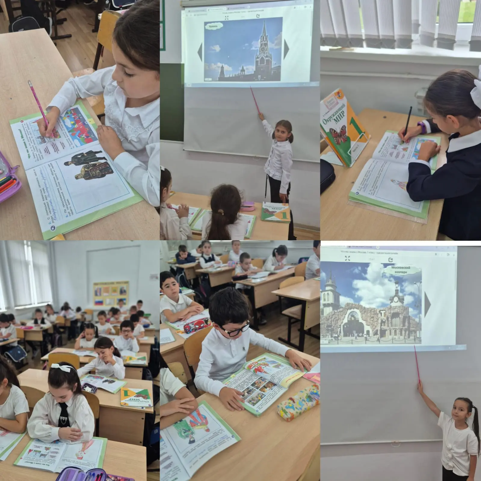 Урок окружающего мира в 1 классе.