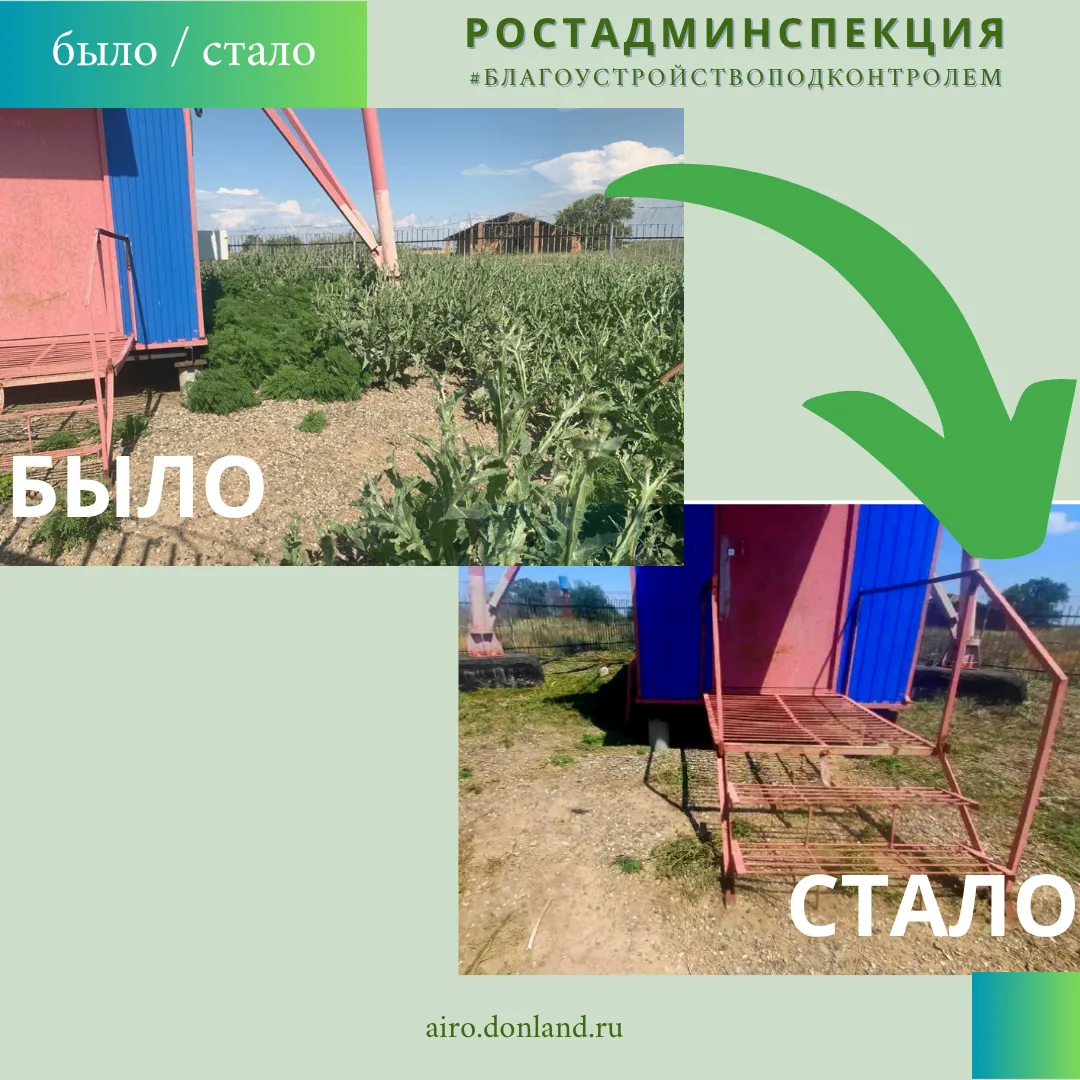Собственники земельных участков обязаны обеспечивать своевременный покос сорной растите...