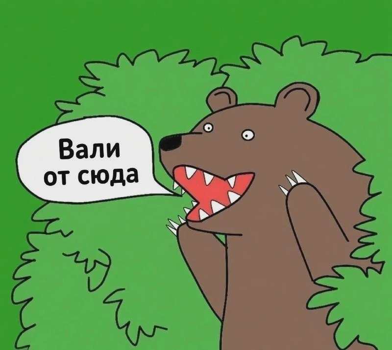 Жители сибирских деревень уезжают из-за медведей