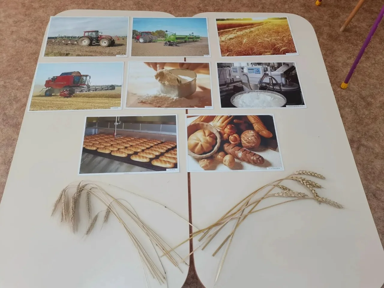 🌾День злаковых культур. День хлеба 🍞